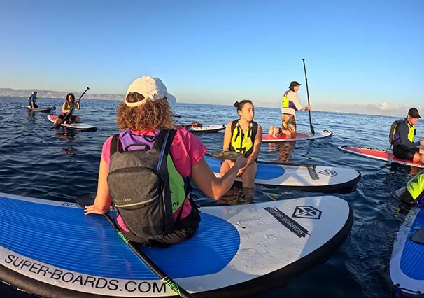 85f3f998 A12d 4bab 87c6 83c3c60bc0e9