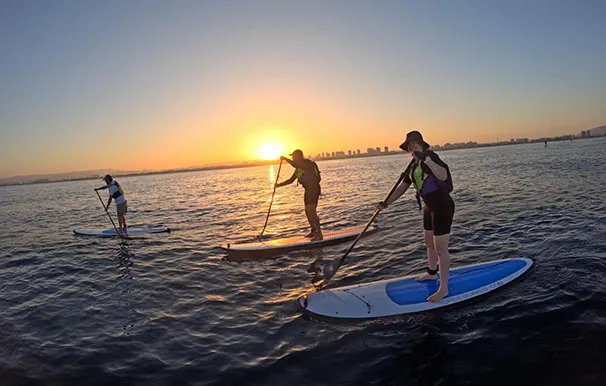 C4d8a8c0 E8af 41d1 A939 Ec9423300a58