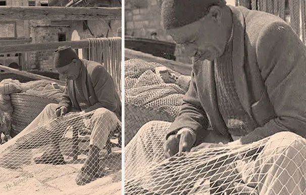 539114780 1189386899899810 8083156661908123377 N 2 2