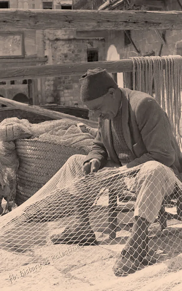 539114780 1189386899899810 8083156661908123377 N 2