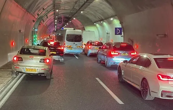 733c259e 00e1 41d3 9695 59481975fe05