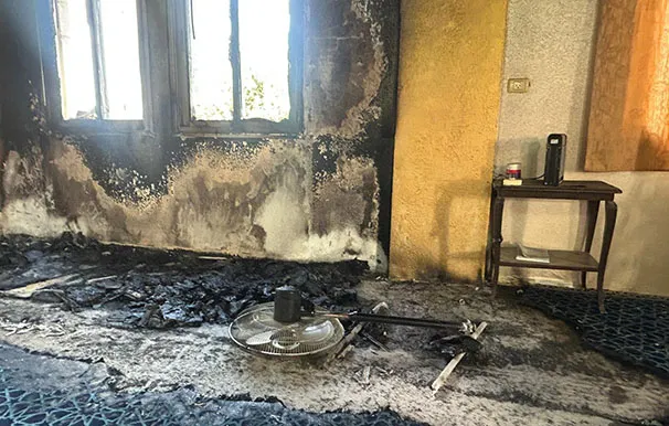 D128ba72 Ca94 4751 957d Ef5f0906a8d3