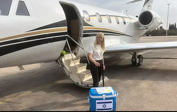 D9ff0bbe 363f 4c2c 85d4 Efe8a8bad01d