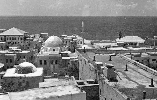 12274596 10207138204867360 6070858355087803546 N 2