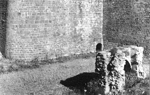 12654454 1746126538952700 3351613697601099218 N 2 2