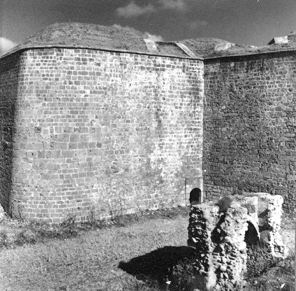 12654454 1746126538952700 3351613697601099218 N 2