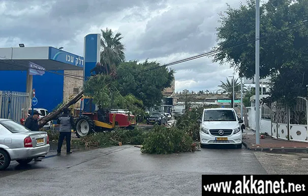 141a795e Ddd7 4169 89a1 40d2c5e665be