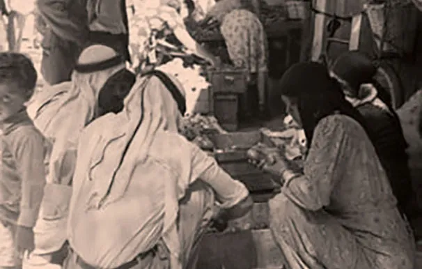 271955839 10158562832086451 3105431358163679146 N 2