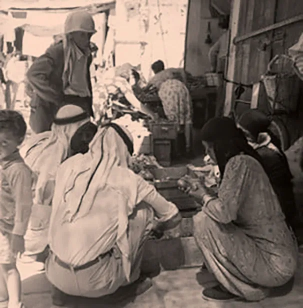 271955839 10158562832086451 3105431358163679146 N