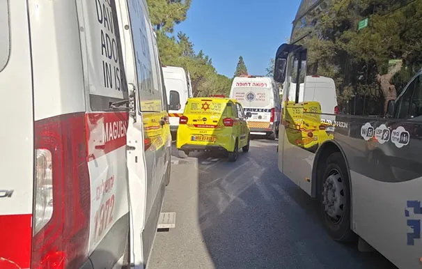 Whatsapp Image 2025 12 02 At 08 48 04