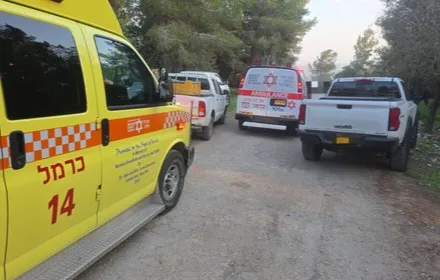 Whatsapp Image 2025 12 26 At 07 35 11(1)