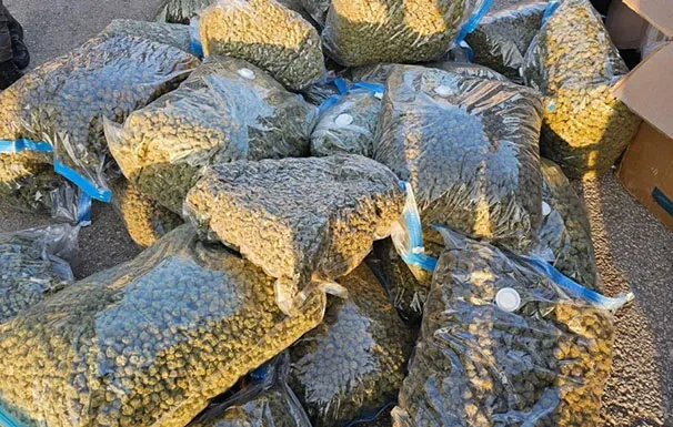 Whatsapp Image 2025 12 26 At 12 17 40 (1)