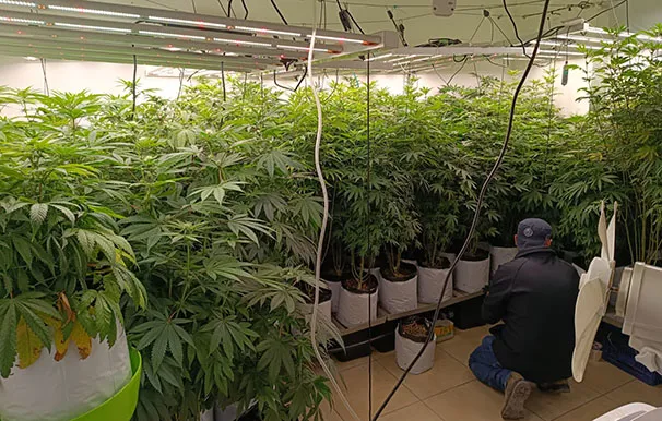 F28e0578 D809 4add 85d3 E966882fec4e