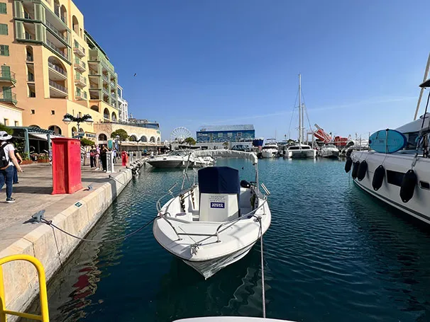 Fefcfbde 7eef 47a8 9dd3 1fe69ae5c4b8