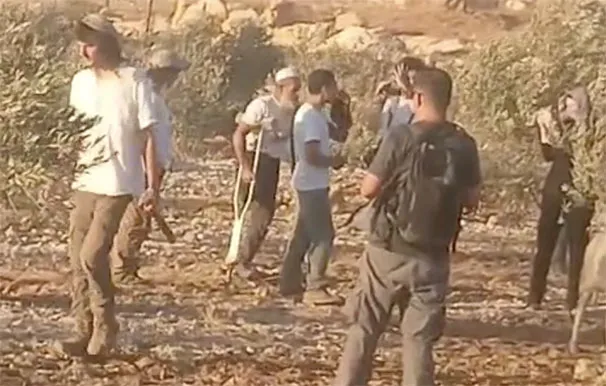 مستوطنون زعران التلال