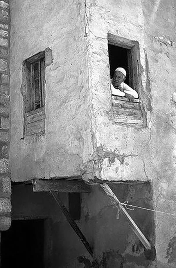 12360105 1726385377593483 1063410768704196281 N 2 2