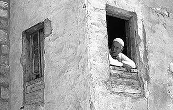 12360105 1726385377593483 1063410768704196281 N 2