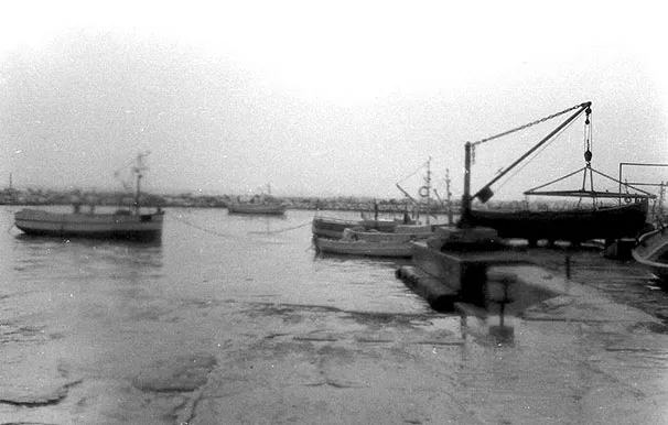 184675891 2974695519429123 9211368557742670365 N