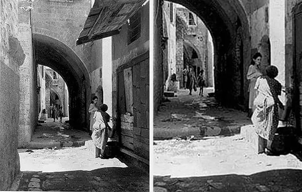 226718021 3036004303298244 2124728600502911346 N 2