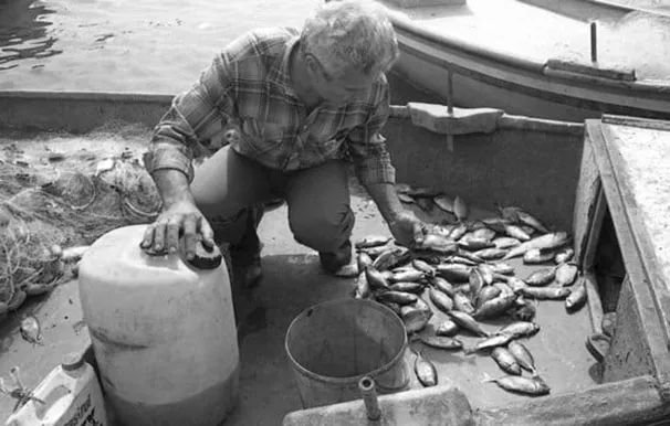 271701577 10158553661926451 3685439513305915316 N 2