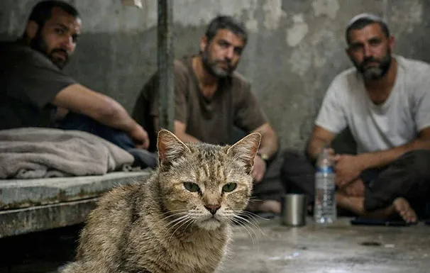 482353c0 0da4 4087 833b 5daad2d686e3