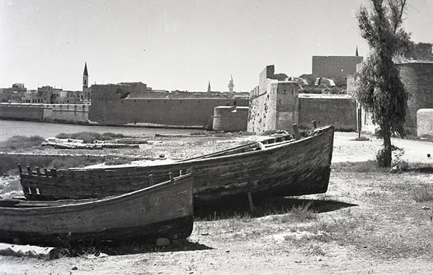 557631427 1656707685329452 2964456463323585668 N 2