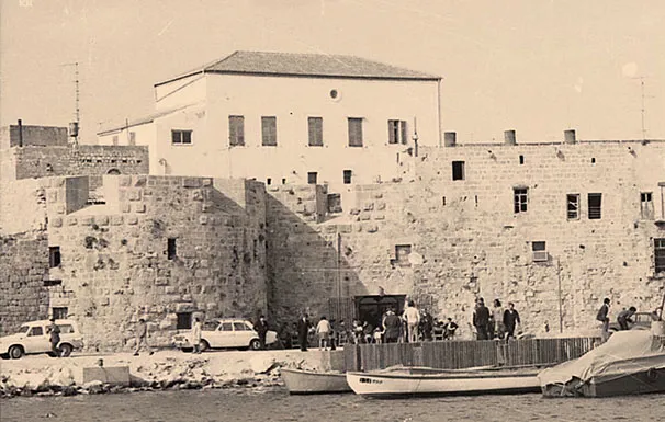 57716563 2369722246593123 5351493916120055808 N 2