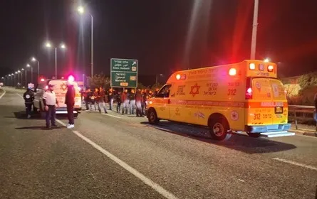 Whatsapp Image 2026 01 09 At 00 01 02