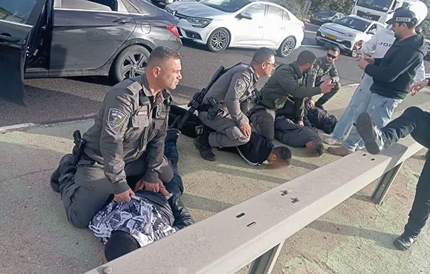 Dda70f37 D395 41a1 A06c 24d0c0f04a40