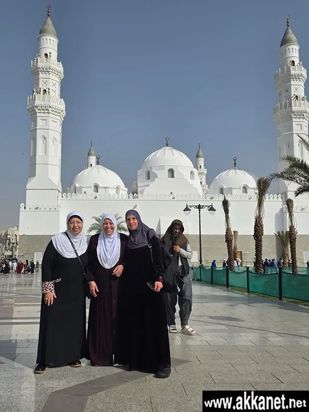 01e6d41c 1bbb 41ca Bcff Ec8bfa9d3435