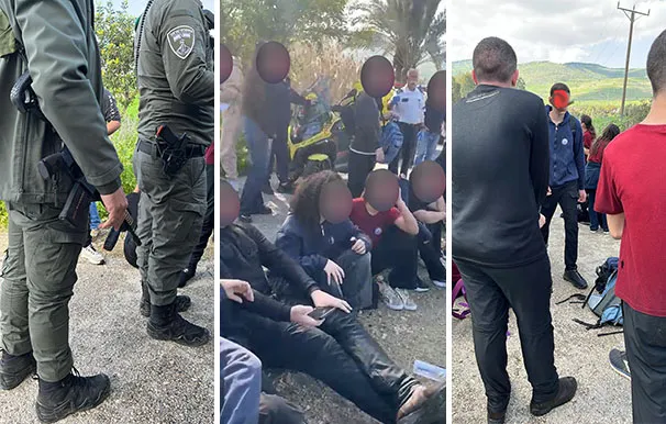 D5071f30 8800 468e B5cd 14dacf8d3559