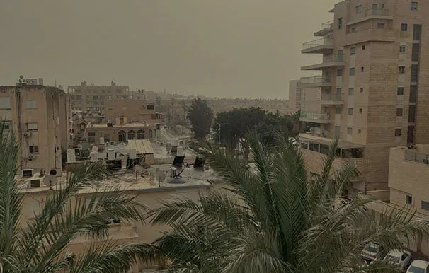 D5aa3cdc 97d4 4d63 Ae49 531c37560f97