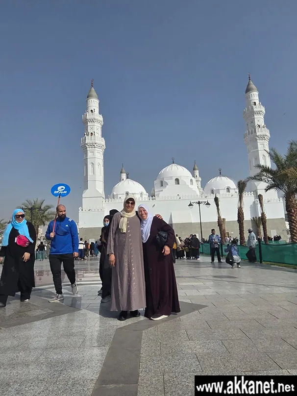 Efab7348 54fa 41ba Bb26 Eb4f8366a425