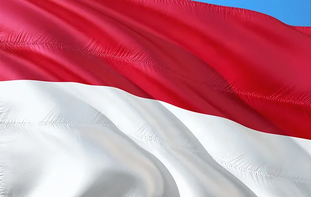 International 2693211 1280