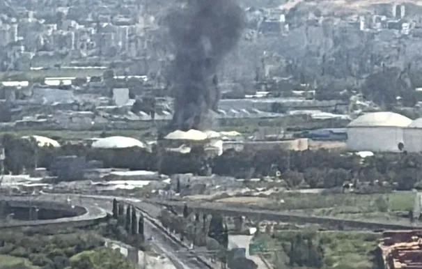 0e300f8a 2c6d 4bf8 A434 F54be36386bc