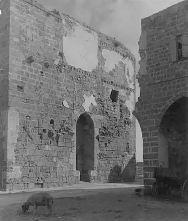 10570469 1731387037093317 5701042913793031858 N 2 2