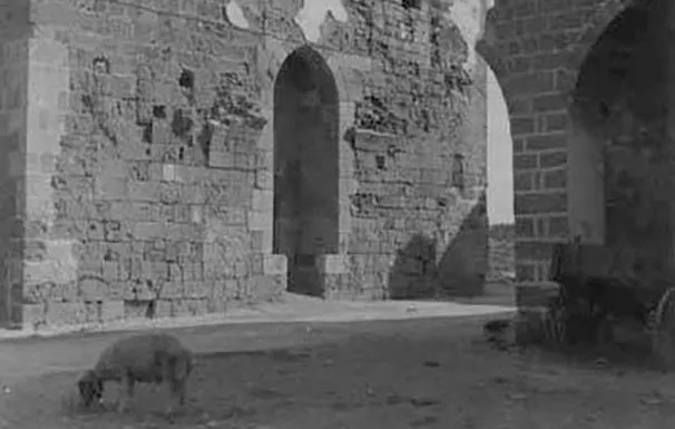 10570469 1731387037093317 5701042913793031858 N 2