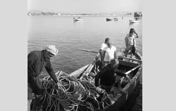 271659766 10158552608981451 976068605565541761 N 2