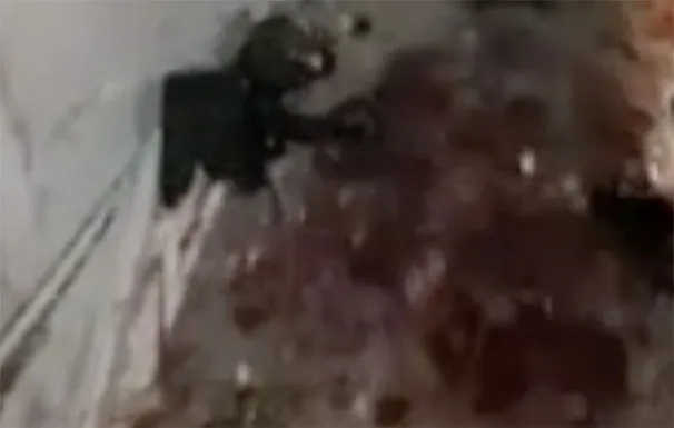 Screenshot 2026 03 19 At 2.17.13