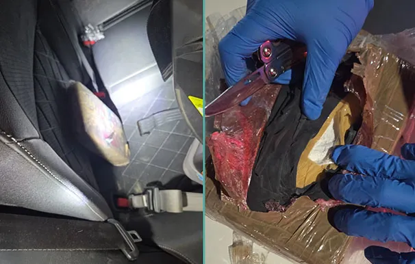 Whatsapp Image 2026 03 20 At 09 03 44