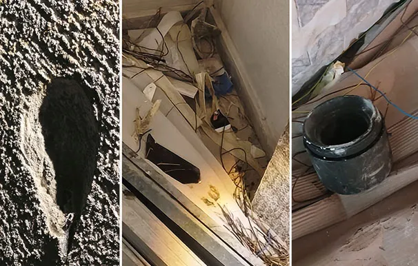 Cda3e87b 79ed 4eb8 8190 B4f1480fa703