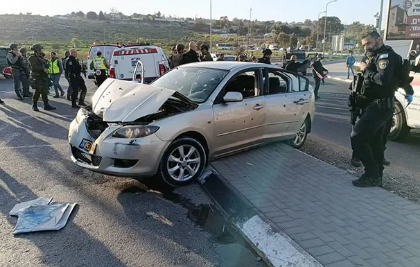 Fe715377 F3ab 4b5e 969b 85df769fc437