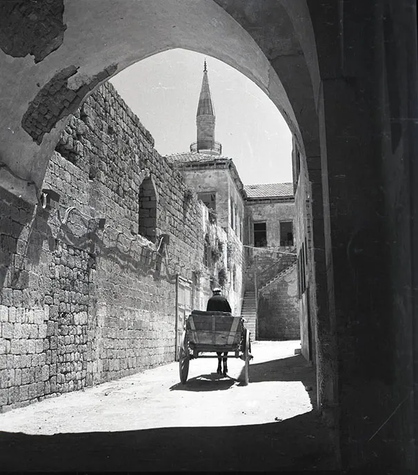 אוסף הצלם ורנר בראון Israelalbum ١٩٤٩