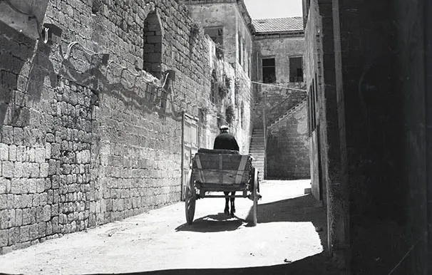 אוסף הצלם ורנר בראון Israelalbum ١٩٤٩ 2