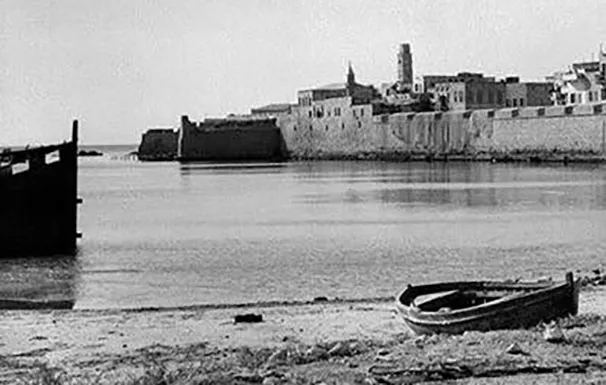 شط العرب٥٦٤٤٥٦