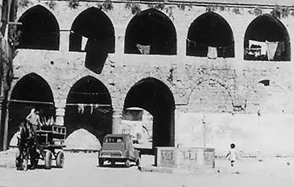 12274258 1719514914947196 1387351622024253537 N 2