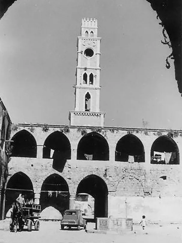 12274258 1719514914947196 1387351622024253537 N