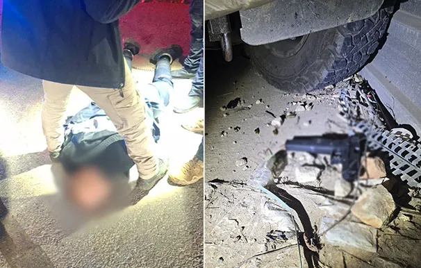 183e8998 8bf2 4d50 Ac11 195b03251a95