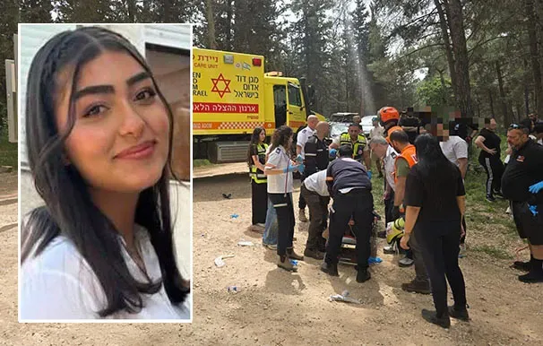 19a6546d Fddd 4751 A0d2 785998bac43c