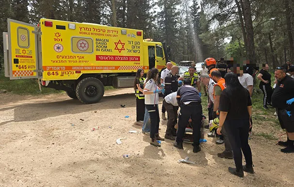 19a6546d Fddd 4751 A0d2 785998bac43c